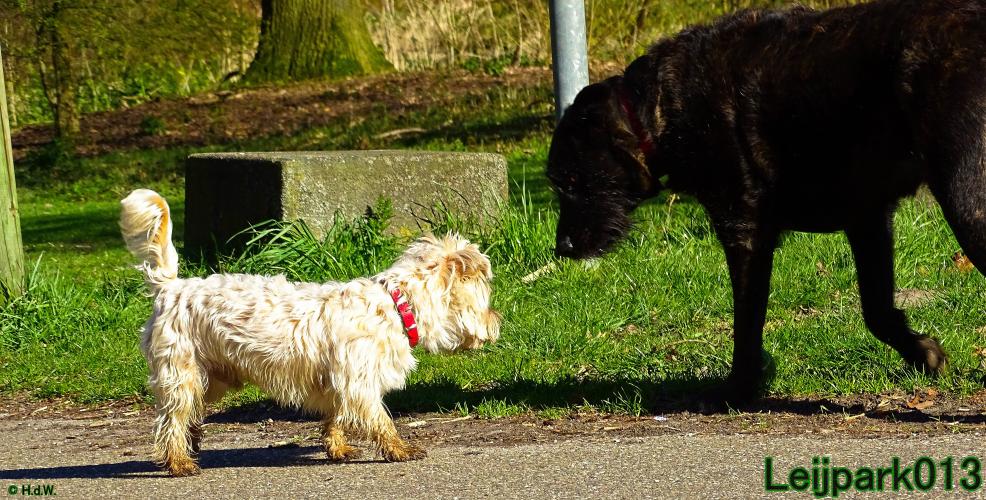 Leijpark013