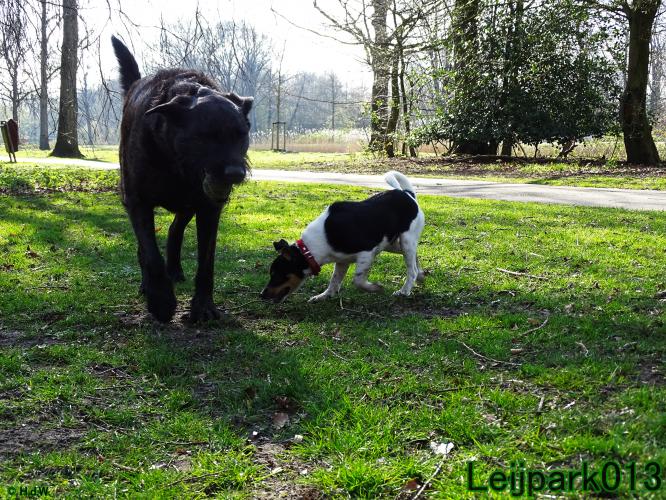 Leijpark013