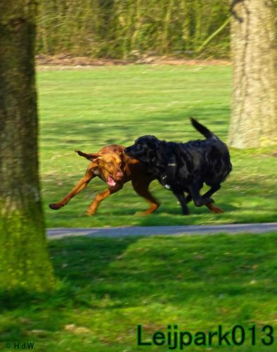 Leijpark013