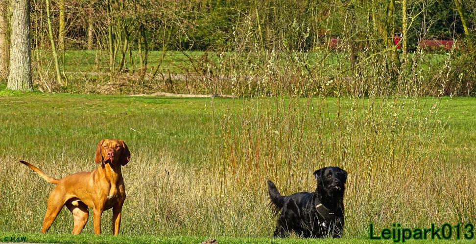 Leijpark013
