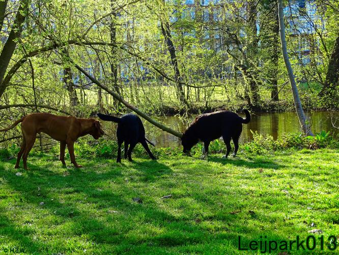 Leijpark013