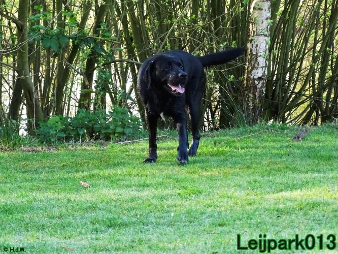 Leijpark013