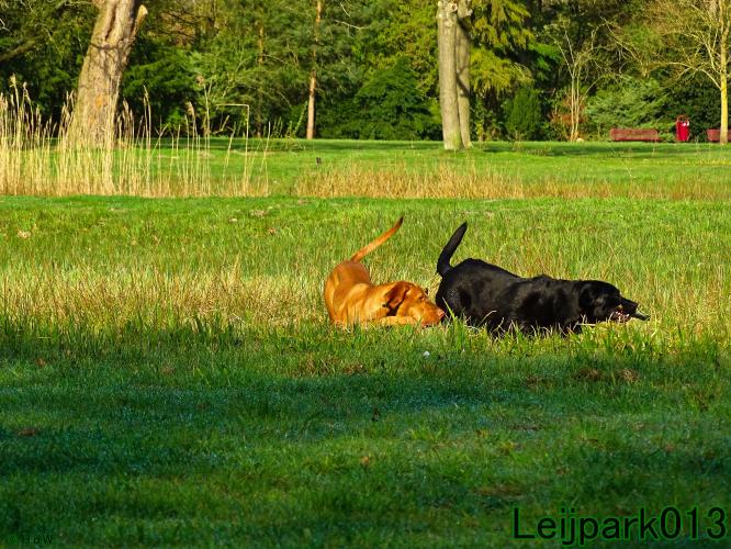 Leijpark013