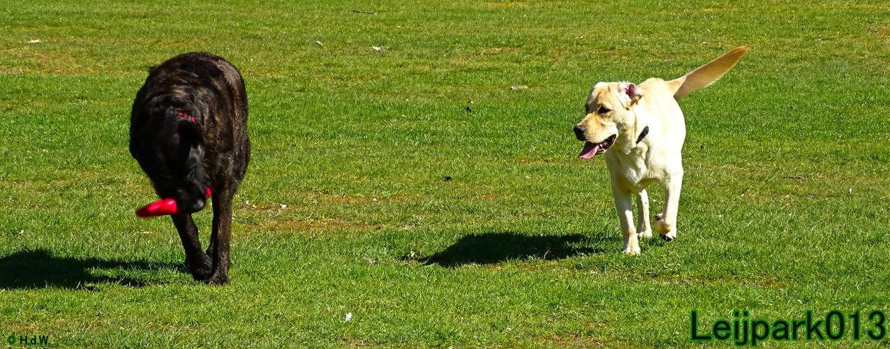 Leijpark013