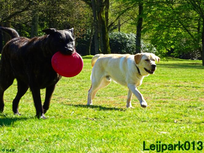 Leijpark013