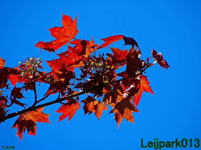 leijpark013