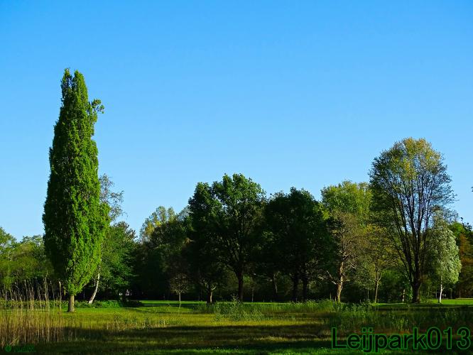 leijpark013