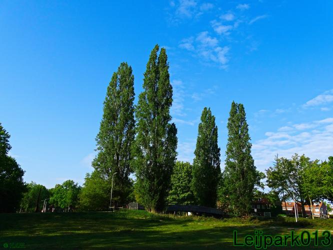 leijpark013