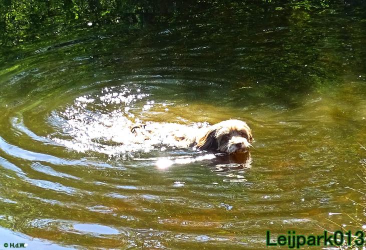 Leijpark013