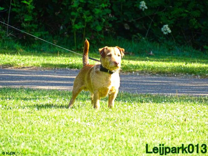 Leijpark013