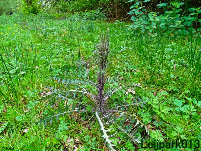 leijpark013