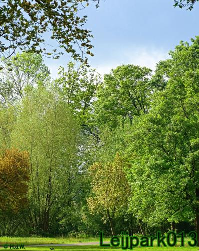 leijpark013