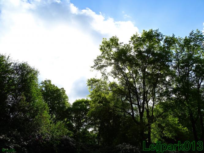 leijpark013