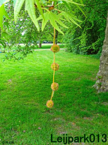 leijpark013