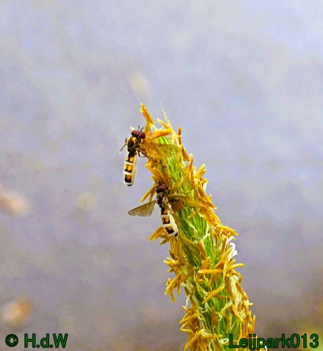 5 &amp; 6 &amp; 7 &amp; 8 juli 2024