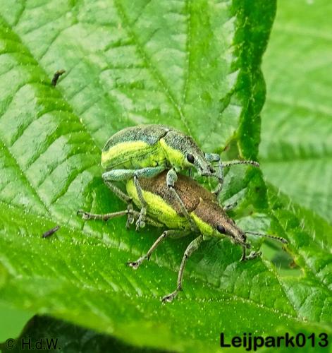 leijpark013