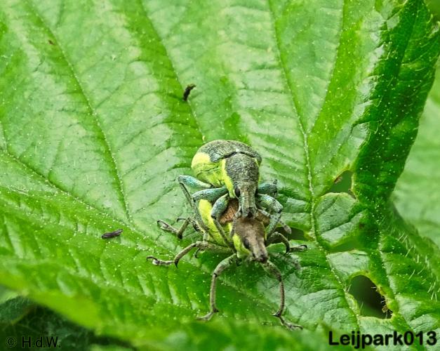 leijpark013