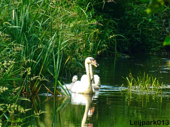 leijpark013