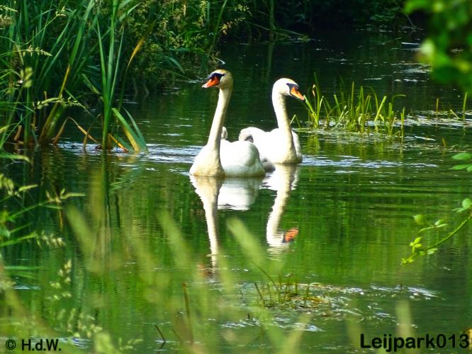 leijpark013