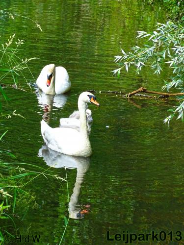 leijpark013