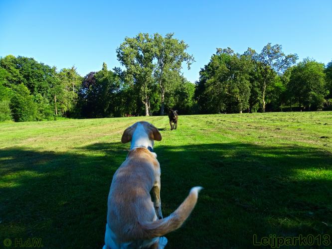 leijpark013