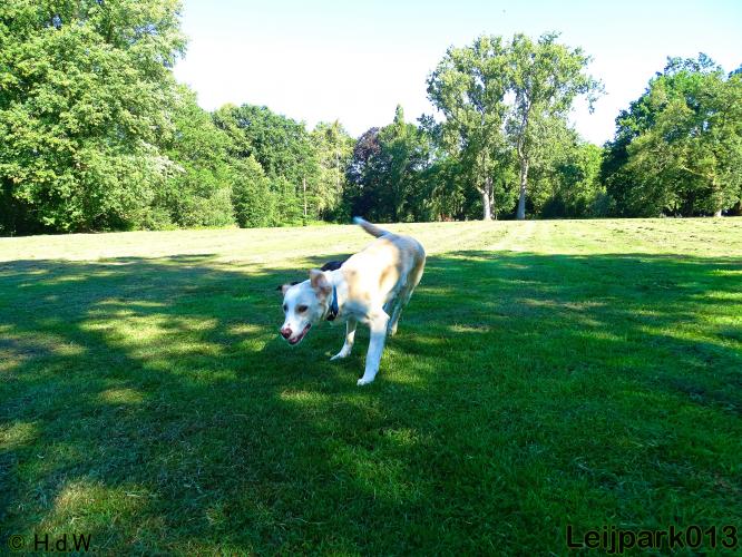 leijpark013