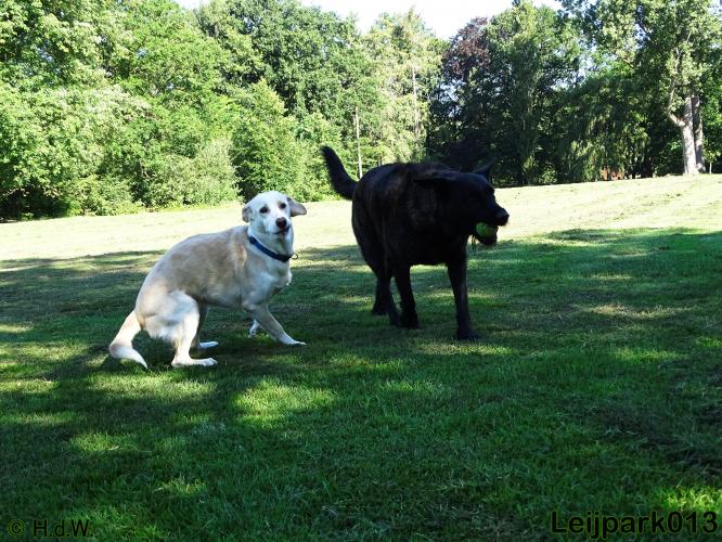 leijpark013