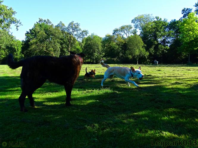 leijpark013