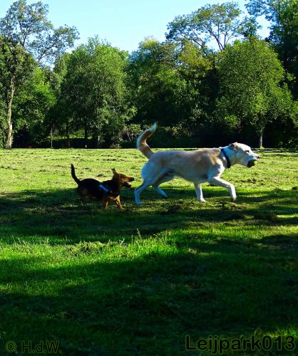 leijpark013
