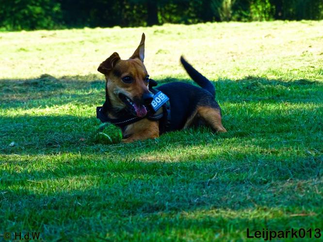 leijpark013