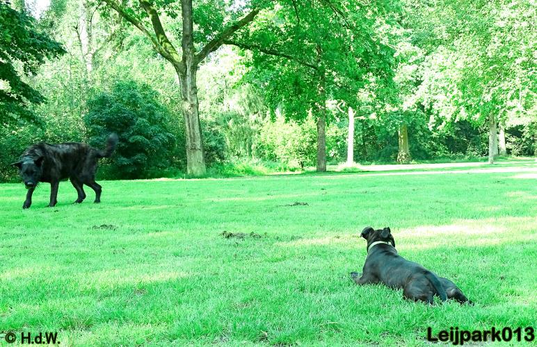 leijpark013