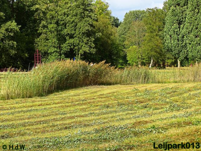 Leijpark013 25-9-2020 