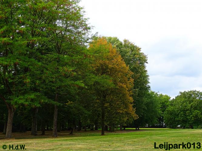 Leijpark013 25-9-2020 