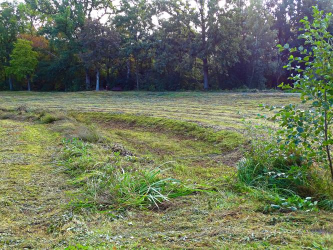 Leijpark013 25-9-2020 