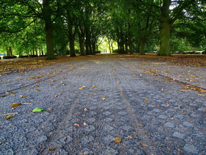 Leijpark013 25-9-2020 