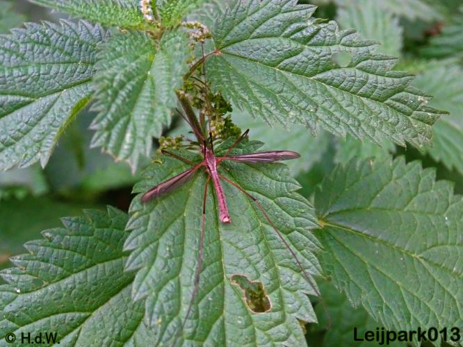 Leijpark013 25-9-2020 