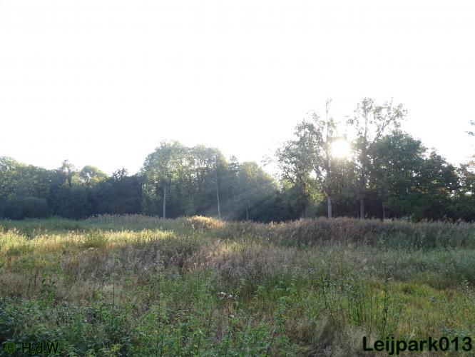 Leijpark013   26 &amp; 27 september 2020 