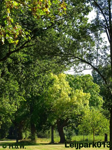 Leijpark013   26 &amp; 27 september 2020 