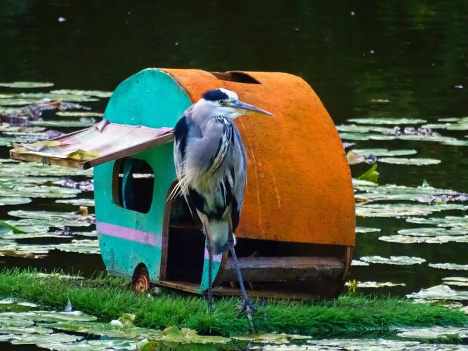 Leijpark013   26 &amp; 27 september 2020 