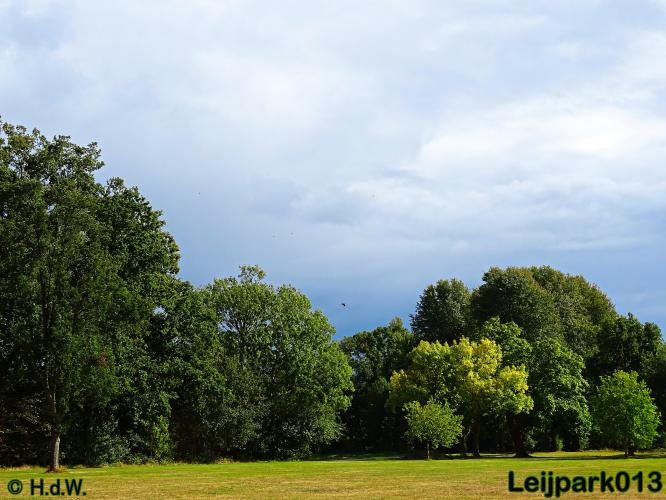 Leijpark013   26 &amp; 27 september 2020 