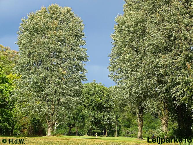 Leijpark013   26 &amp; 27 september 2020 