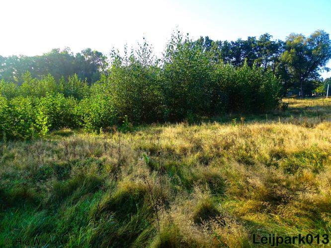 Leijpark013   26 &amp; 27 september 2020 