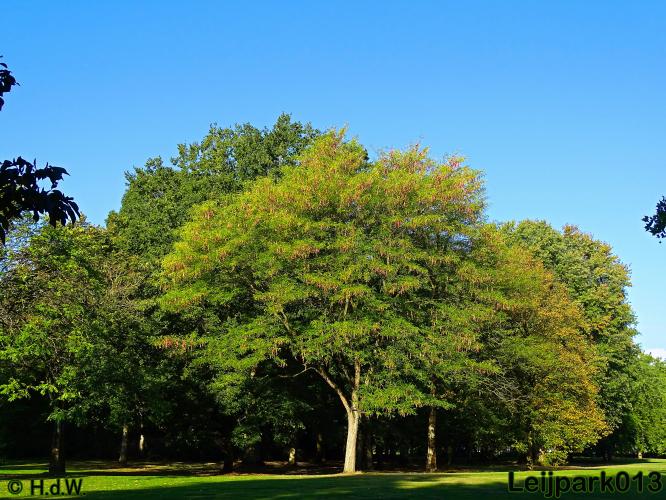 Leijpark013   26 &amp; 27 september 2020 