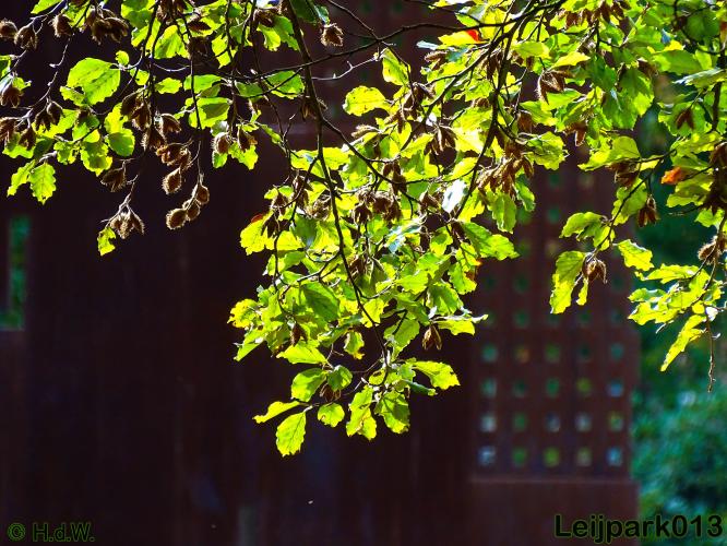 Leijpark013   26 &amp; 27 september 2020 