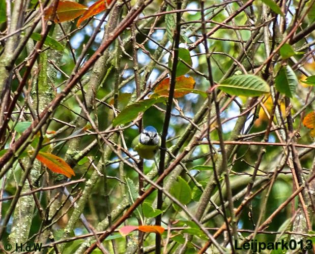 Leijpark013   26 &amp; 27 september 2020 