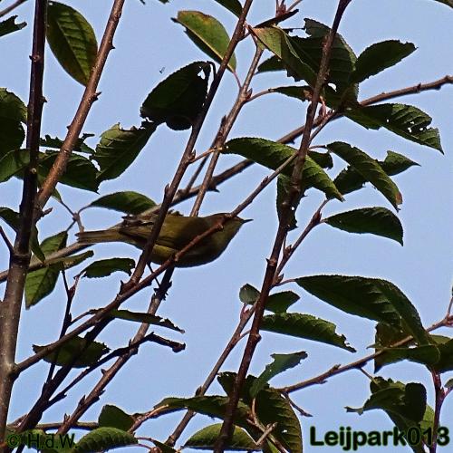 Leijpark013   26 &amp; 27 september 2020 