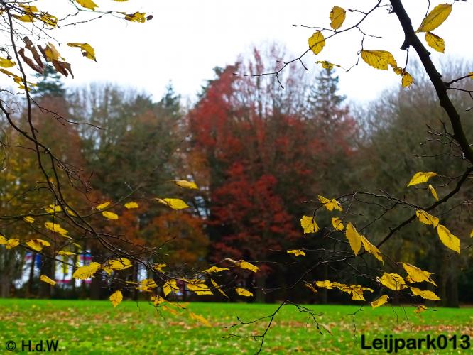 Leijpark013 17 &amp; 18 november 2020