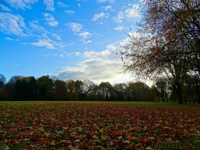 Leijpark013 17 &amp; 18 november 2020