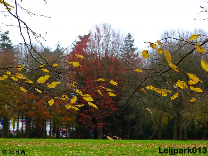 Leijpark013 17 &amp; 18 november 2020