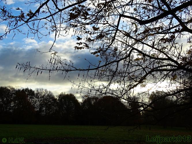 Leijpark013 17 &amp; 18 november 2020